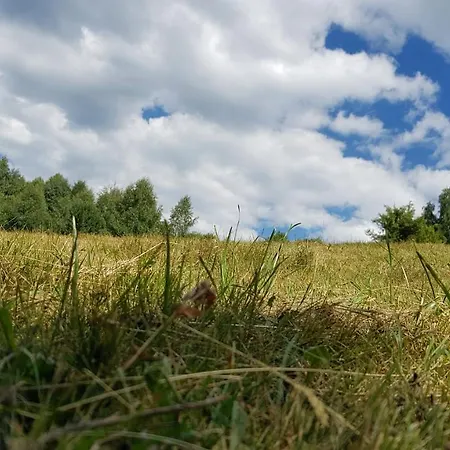 Car30 Kraljevi Cardaci شقة كوباونيك