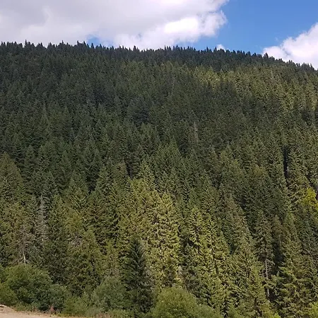 Appartement Car30 Kraljevi Cardaci *