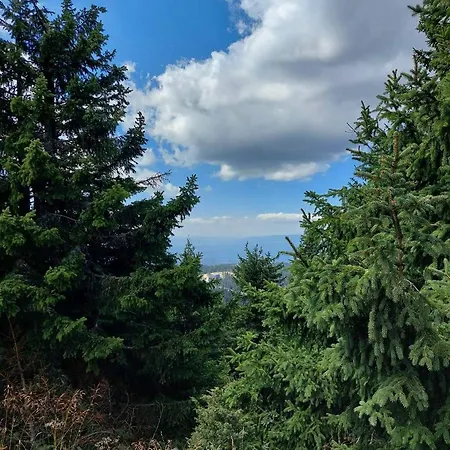 Car30 Kraljevi Cardaci Kopaonik