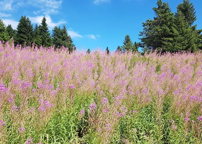 Διαμέρισμα Car30 Kraljevi Cardaci *