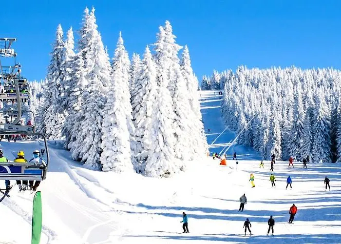 Car30 Kraljevi Cardaci * كوباونيك