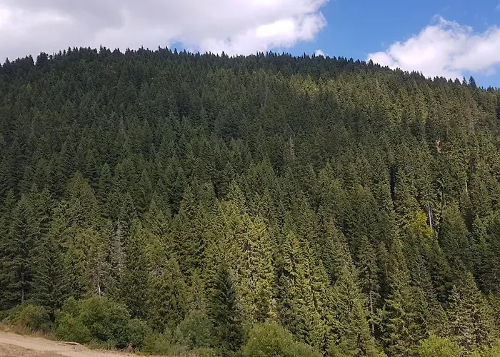 شقة Car30 Kraljevi Cardaci *