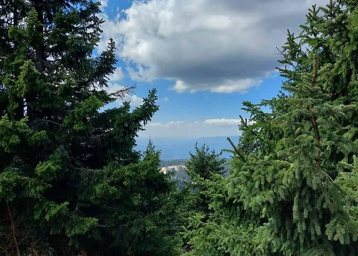 Car30 Kraljevi Cardaci كوباونيك